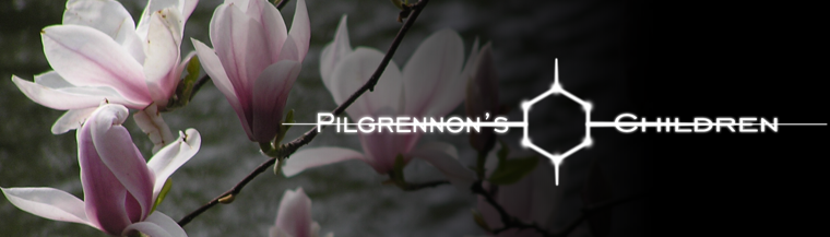Pilgrennon's Children series